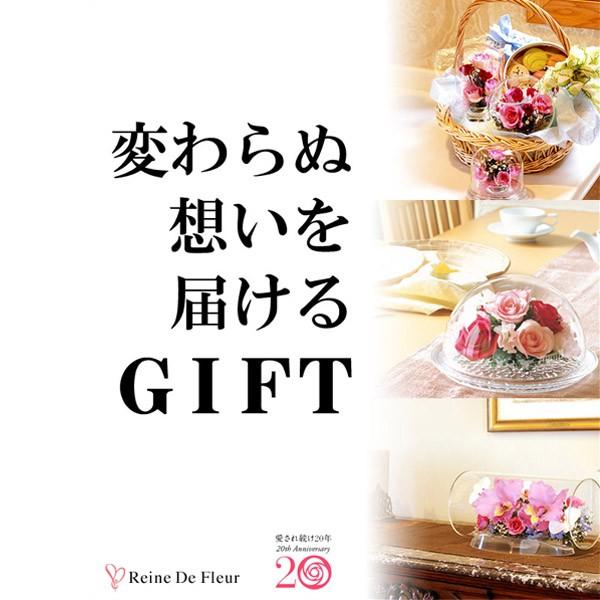 レンデフロール カトレア 胡蝶蘭 シクラメン グラジオス ドライ レンデフロール カトレア 胡蝶蘭 シクラメン グラジオス ドライ