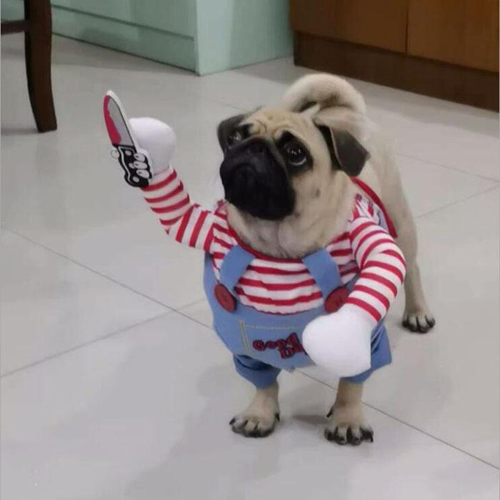 Clarsch ペット服 犬服 犬の服 チャッキー ハロウィン クリスマス かわいい 面白い コスプレ 変装 犬 猫 二足歩行 コスプレ 衣装 コスチューム Hk0048 クラルシュ Clarsch直営店 通販 Yahoo ショッピング