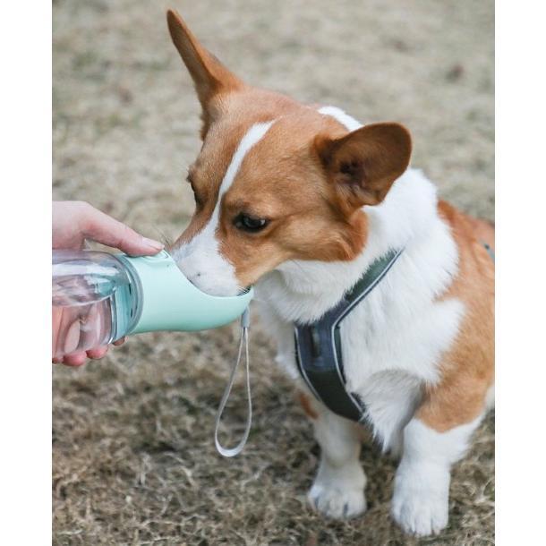 犬おでかけ水筒 ペット ウォーターディスペンサー アウトドア 飲みやすい 取り外し可能 清潔 ペット用品 Hot Cold さんぽ用品 片手操作 便利  食器、餌やり、水やり用品
