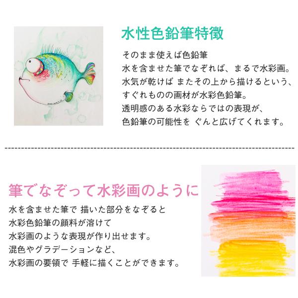 色鉛筆 水彩 0色セット 色えんぴつ 0本セット カラフル鉛筆 塗り絵 画材 水彩画 お絵かき 写生 収納ケース付 05sepcsqb06 Fairy Dust 通販 Yahoo ショッピング
