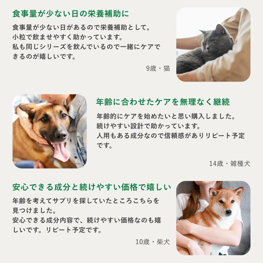 5ala PET サプリメント 5-ALA ファイブアラ ペット 2mg 乳酸菌 120粒