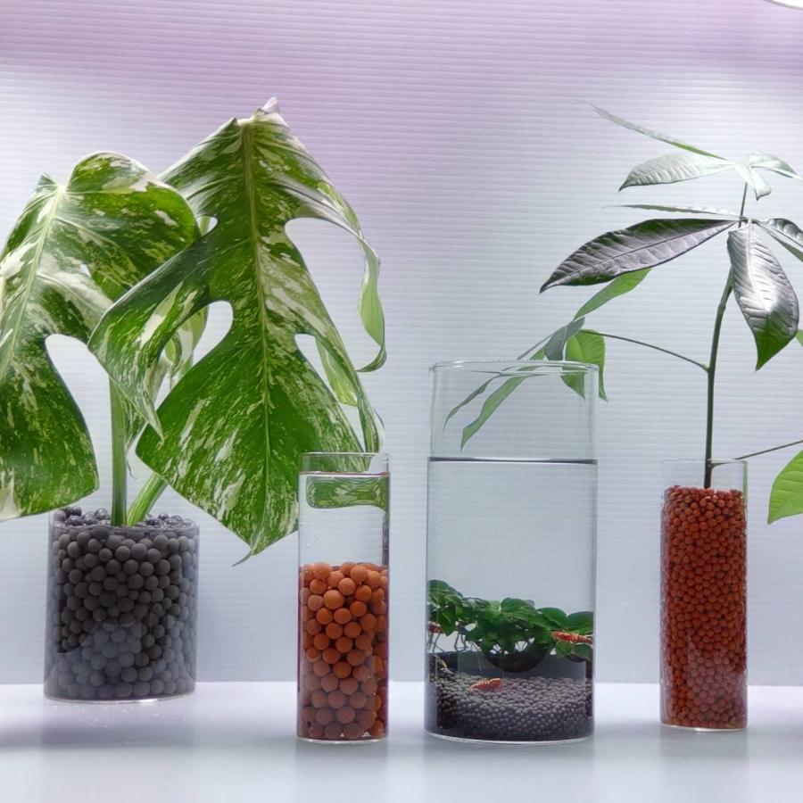 麦飯石 ろ材 6kg 高品質 セラックボール ろ過材 アクアリウム 水槽 観葉 植物 ハイドロカルチャー 水耕栽培 ミネラル エビ メダカ 金魚 ディスカスの画像