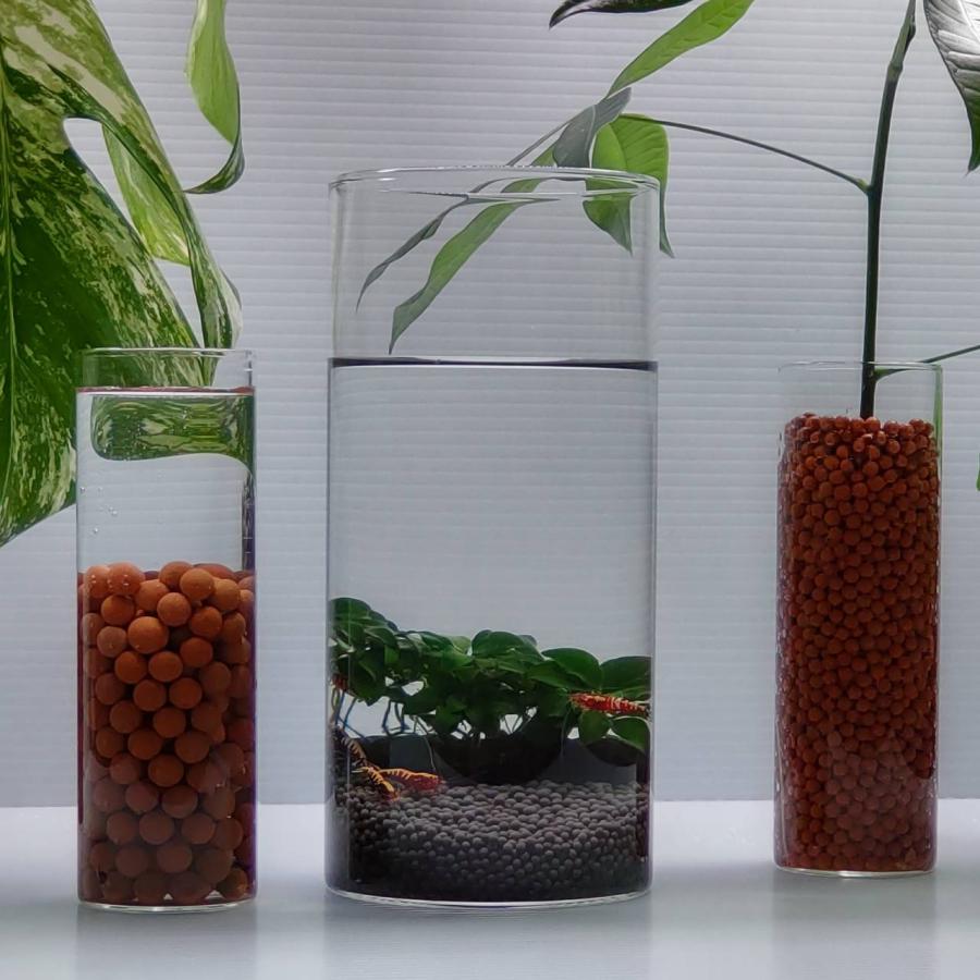 麦飯石 ろ材 6kg 高品質 セラックボール ろ過材 アクアリウム 水槽 観葉 植物 ハイドロカルチャー 水耕栽培 ミネラル エビ メダカ 金魚 ディスカスの画像