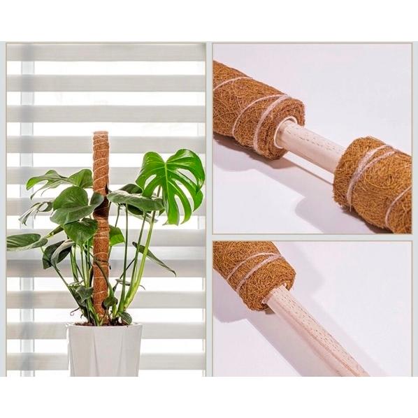 植物支柱 園芸支柱 ココナッツ支柱 A級品 40cm 1本〜 天然 ココナッツ