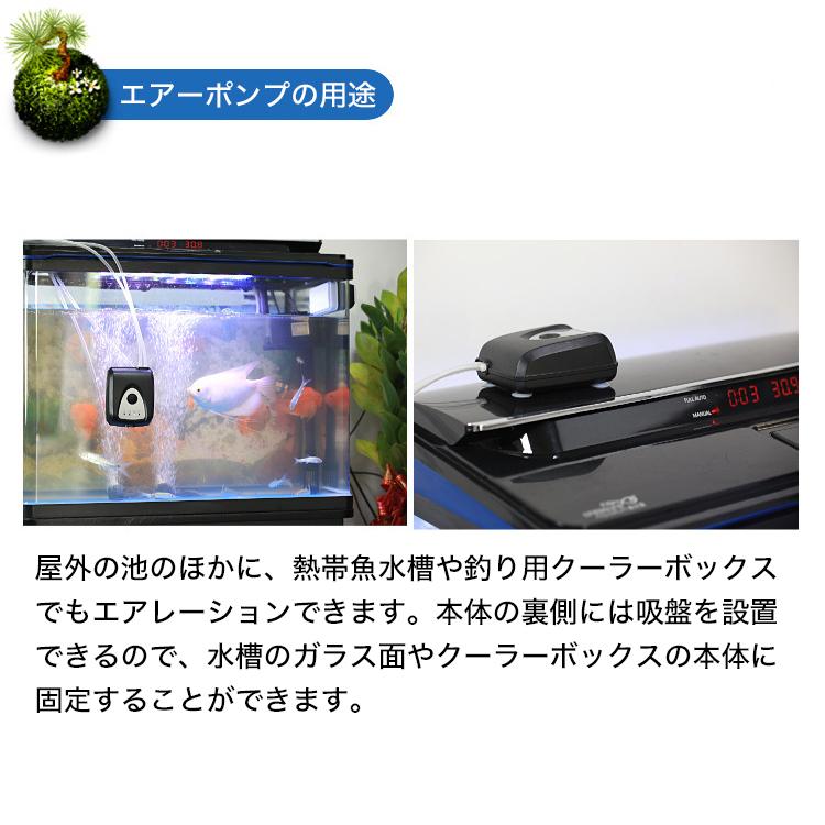 品数豊富 ソーラー充電式 エアーポンプ 11点セット エアポンプ 酸素ポンプ 小型 水槽ポンプ 静音 循環ポンプ 太陽光 太陽電池 Usb 釣り 池 水槽 熱帯魚 コイ 金魚 めだか Aynaelda Com