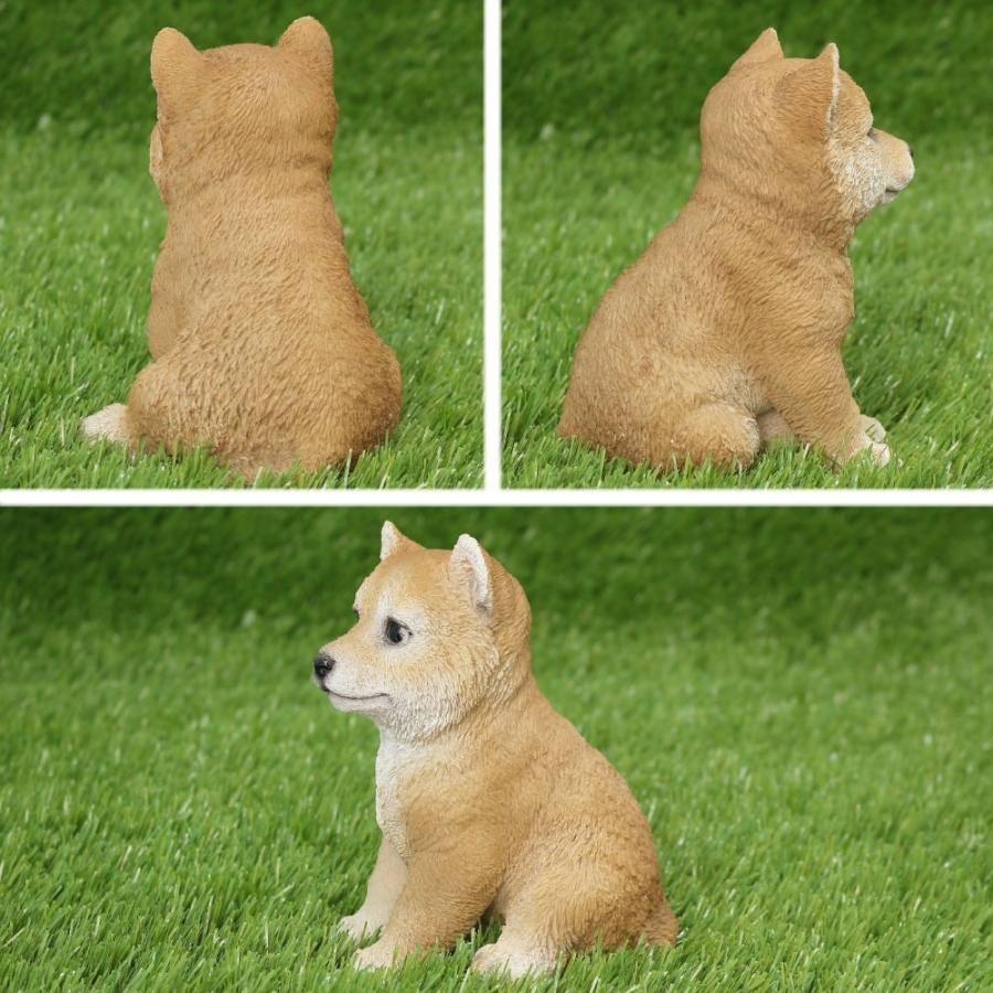 犬 置物 シバ (柴犬) 子犬 : Fairy Selection - 通販 - Yahoo!ショッピング