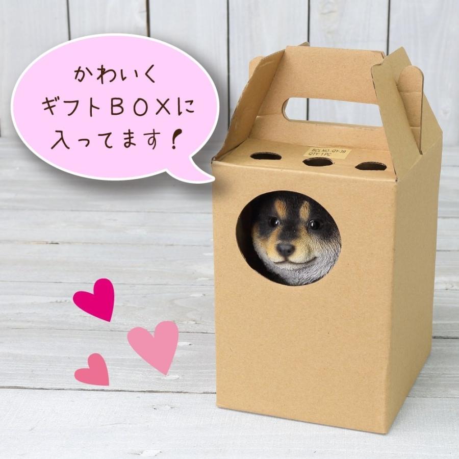 犬 置物 シバ (柴犬) 子犬 : Fairy Selection - 通販 - Yahoo!ショッピング