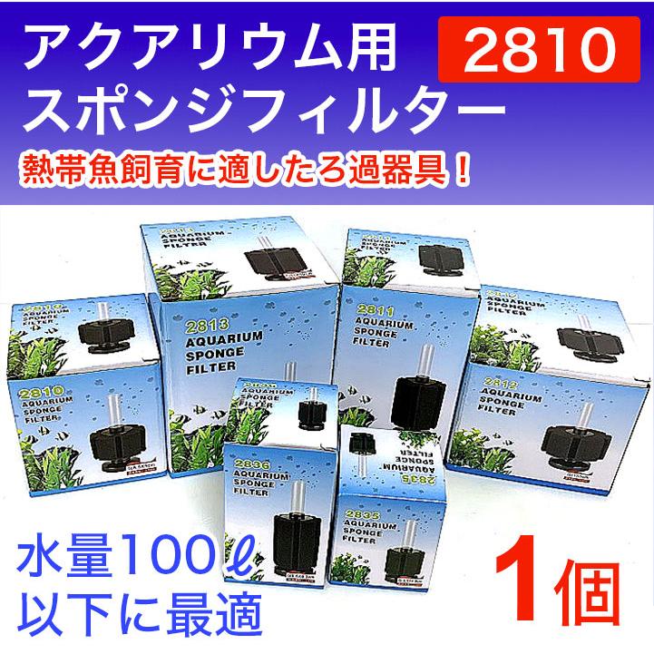 スポンジフィルター 2810 適応100L以下 フィルター シュリンプ エビ