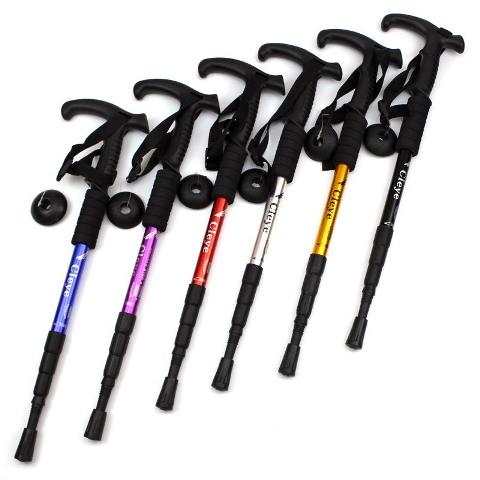トレッキングポール T字型 2本 付属品11点セット 登山杖 ステッキ