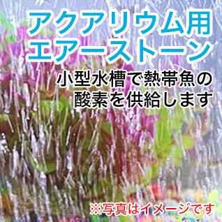 個数でお得なセット割あり
