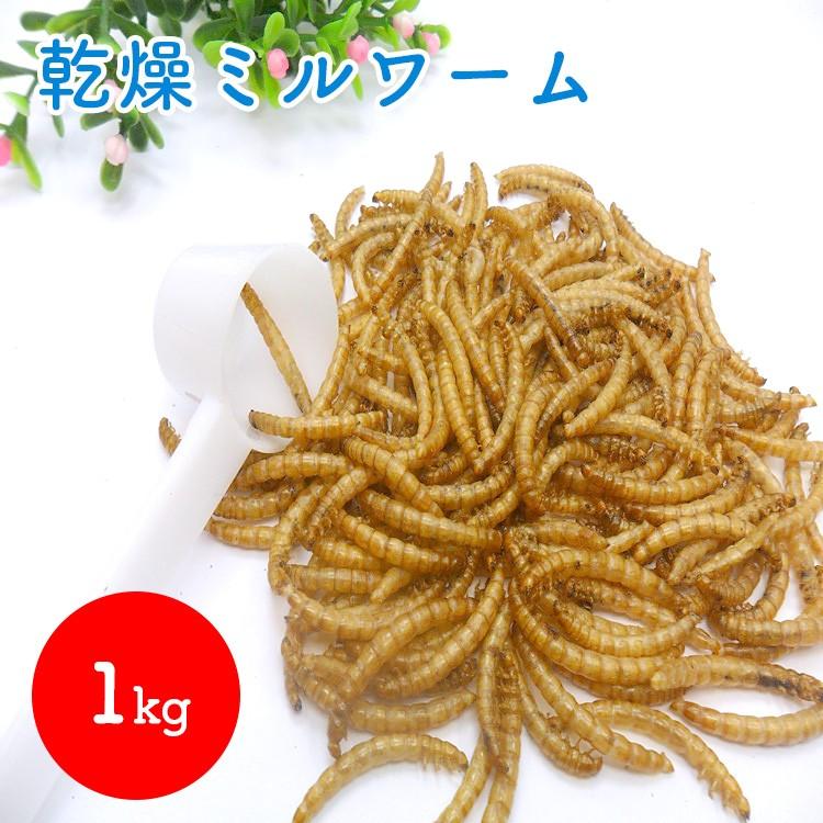 ミルワーム 乾燥 ドライミルワーム 1000g×2 小動物 おやつフード 餌 乾燥ミルワーム ドライミルワーム 1kg 爬虫類・熱帯魚・食虫動物