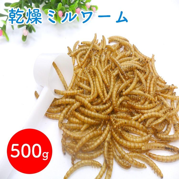 乾燥ミルワーム ドライミルワーム 500g 爬虫類・熱帯魚・食虫