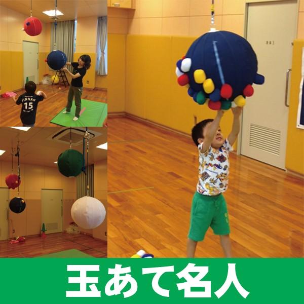 玉あて名人　保育園　幼稚園　的当てゲーム　イベント　車いす　車椅子　レクリエーション　特別支援