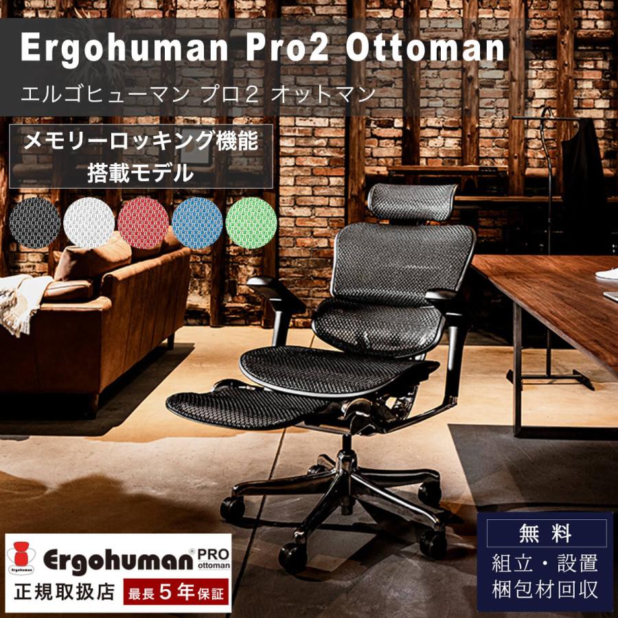 関家具 エルゴチェアー オフィスチェア 高機能 EHP2-LPL-DR-BF GF