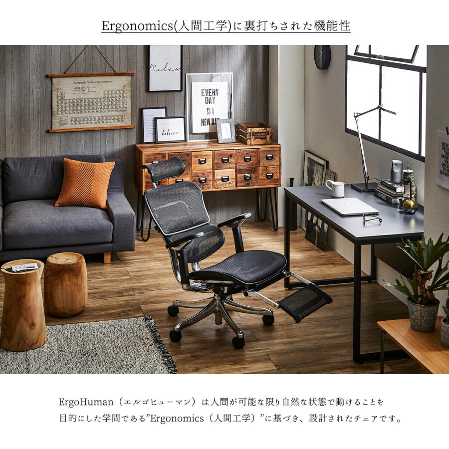 関家具 エルゴチェアー オフィスチェア 高機能 EHP2-LPL-DR-BF GF 