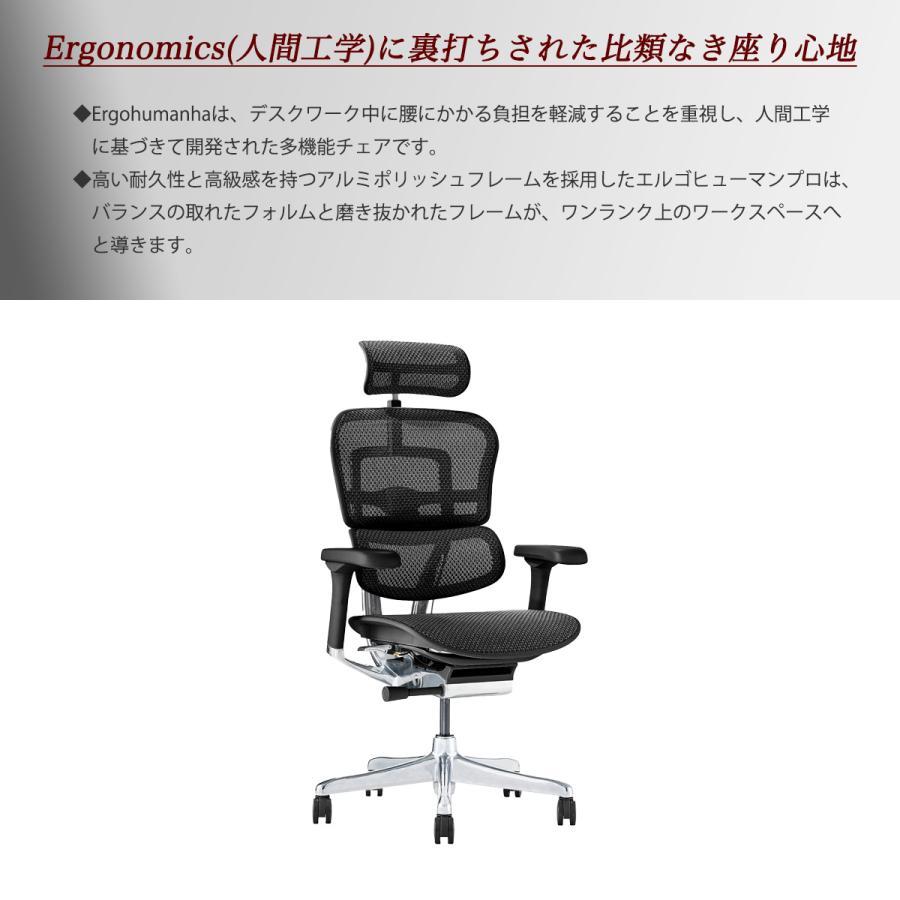 関家具 新型 エルゴヒューマン プロ2ハイ Ergohuman Pro2 プロ2