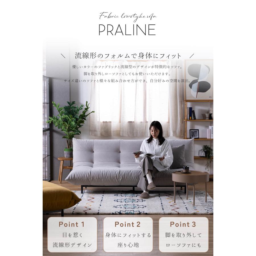 開梱設置付ソファ 2人掛け 二人掛け 2P ローソファ プラリネ nora 関