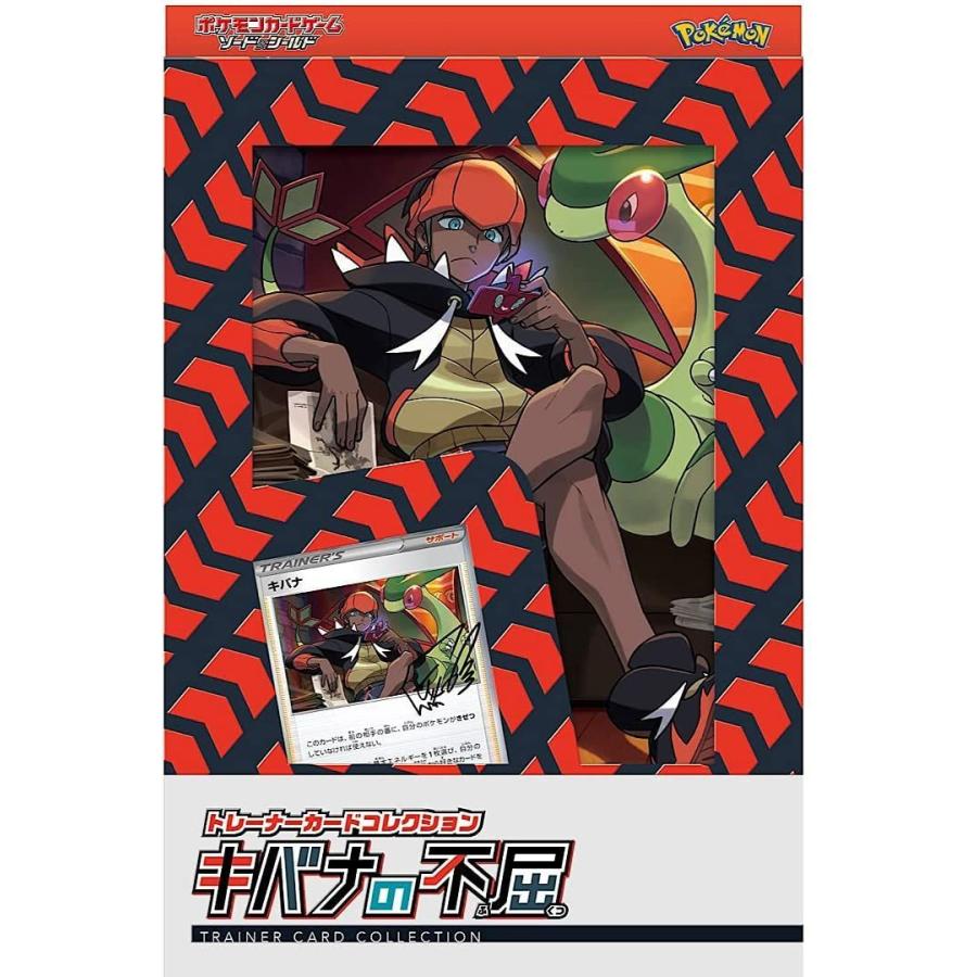 ポケモンカードゲーム ソード&シールド トレーナーカードコレクション