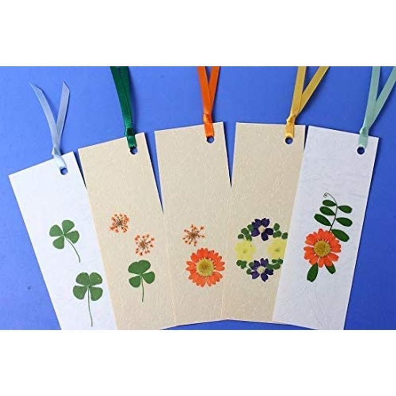 押し花しおり材料セット台紙 アイロンフィルム リボン３セットの価格 ファムビズ 通販 Yahoo ショッピング