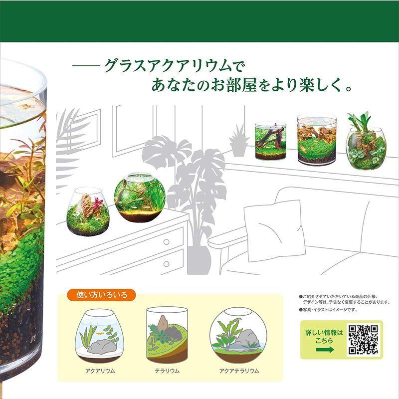 ジェックス 水槽 グラスアクアリウム ギフト シリンダー 水草インテリア 1 X ガラス製 18x18xセンチメートル