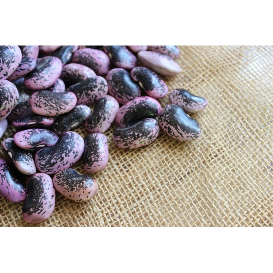 紫花豆 300g 大粒 農薬未使用 長野県産 令和5年度産 乾燥豆類【送料無料：メール便】 |  | 01