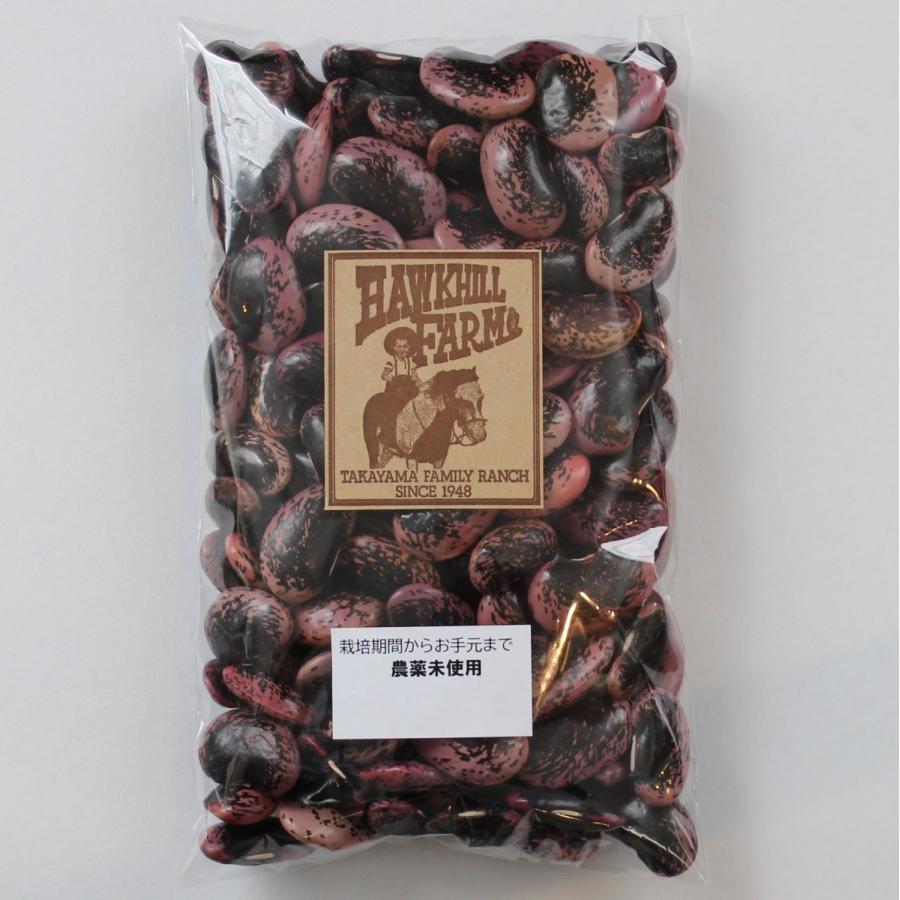 紫花豆 300g 大粒 農薬未使用 長野県産 令和5年度産 乾燥豆類【送料無料：メール便】 |  | 02