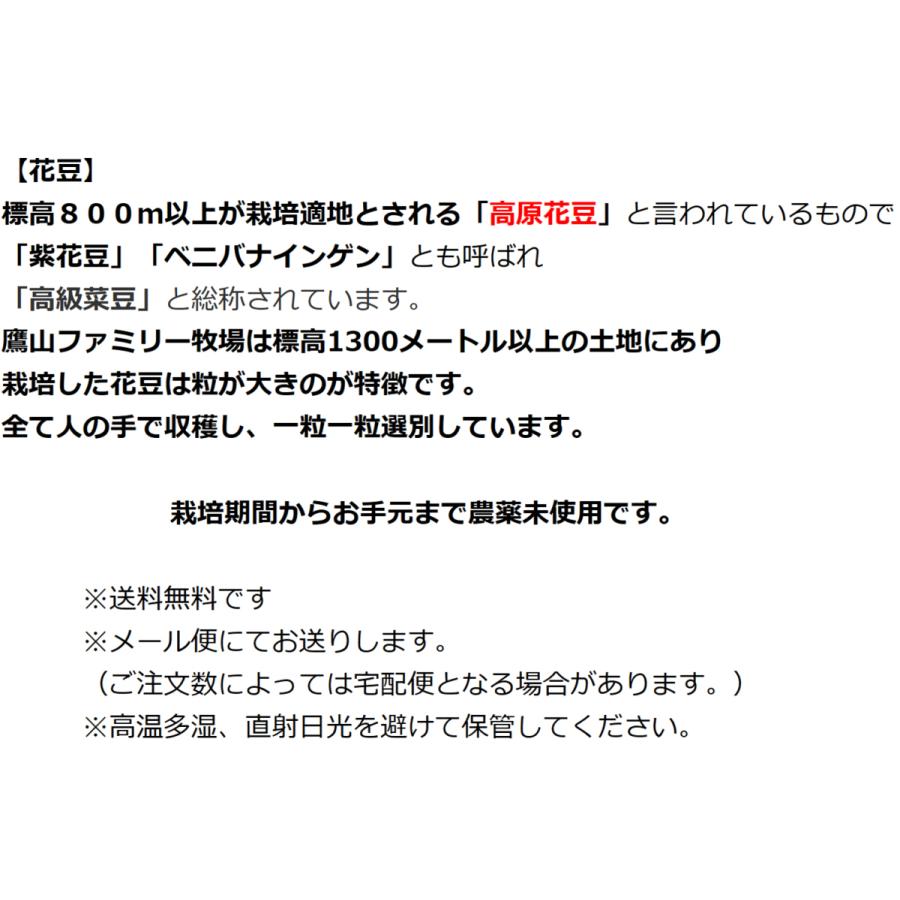 紫花豆 300g 大粒 農薬未使用 長野県産 令和5年度産 乾燥豆類【送料無料：メール便】 |  | 05