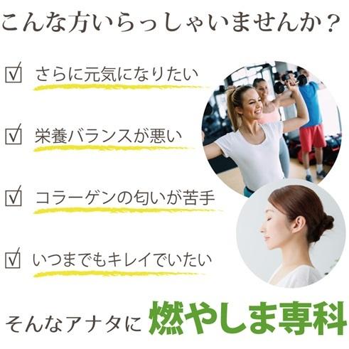 燃やしま専科 レモン風味 500ｇ エナジークエスト【正規販売店】｜familia7｜05