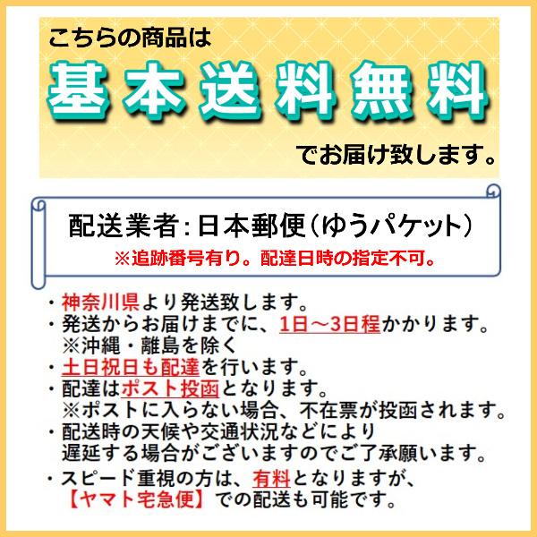 GBA ポケットモンスター ルビー 【箱・説明書無し】｜familia｜02