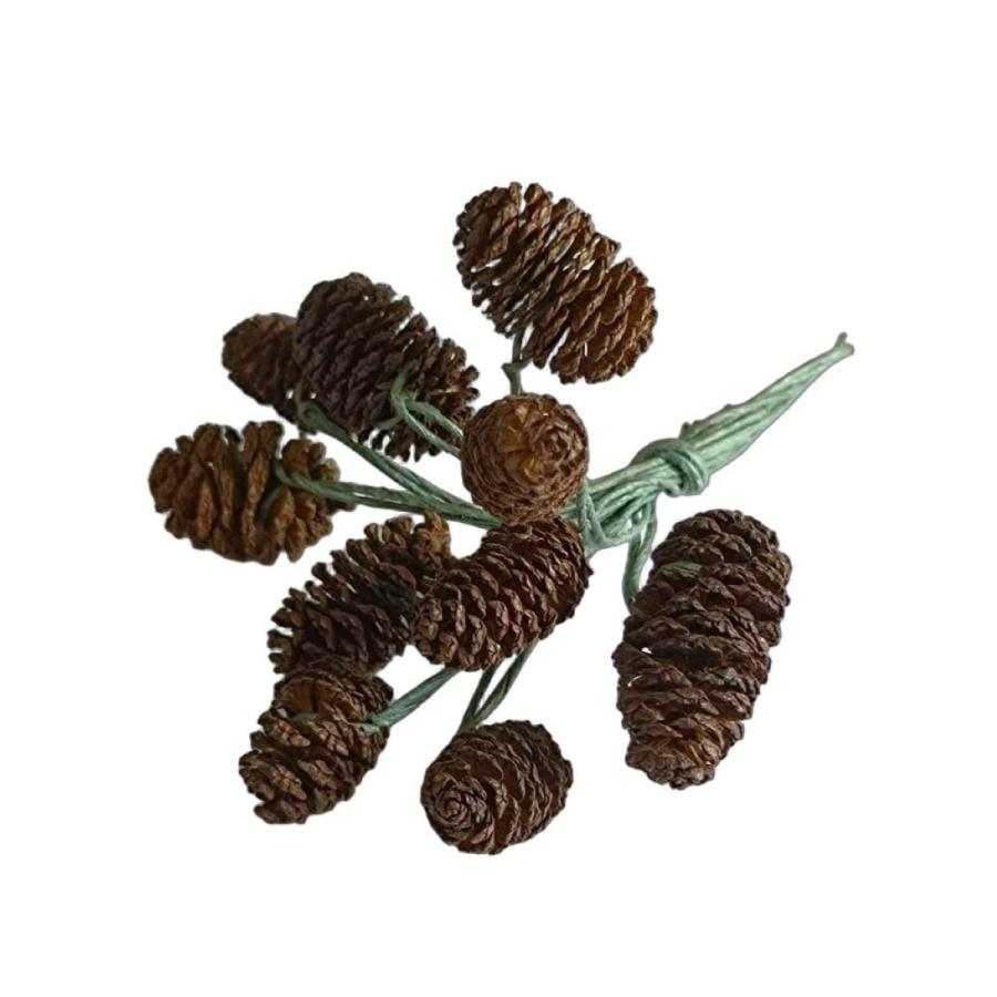 ご注文商品　やすの松ぼっくり ヤシャブシ（ハンの実）大小アソート ナチュラル 1.5〜3cm（1個