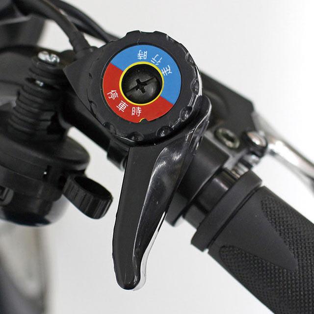 電動アシスト三輪自転車 アシらく ロータイプ 専用サイクルカバー付