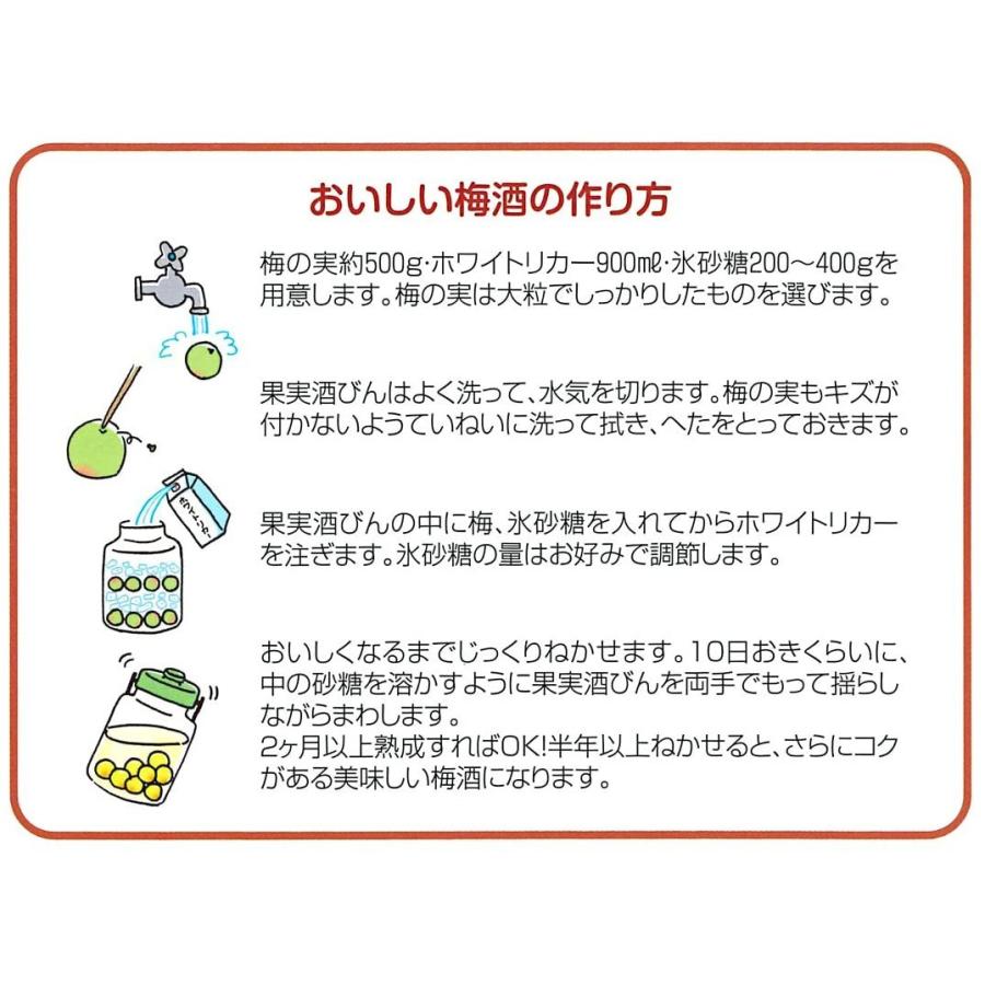 カラー果実酒瓶 S型 2.7L みどり｜family-seikatsukan-y｜06