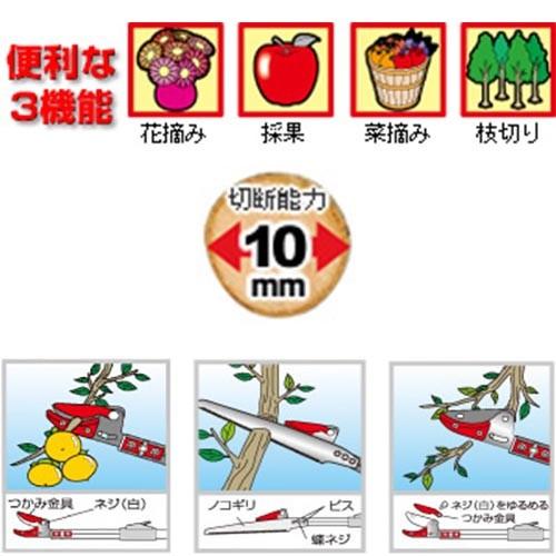 カマキ 伸縮高枝切鋏 かるのびサンダン アンビルタイプ6段階調整式 3m 