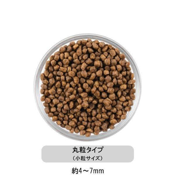 グローバルペット ナウフレッシュ NOW FRESH CAT グレインフリー キトン 350g （20300531）｜familypet｜02