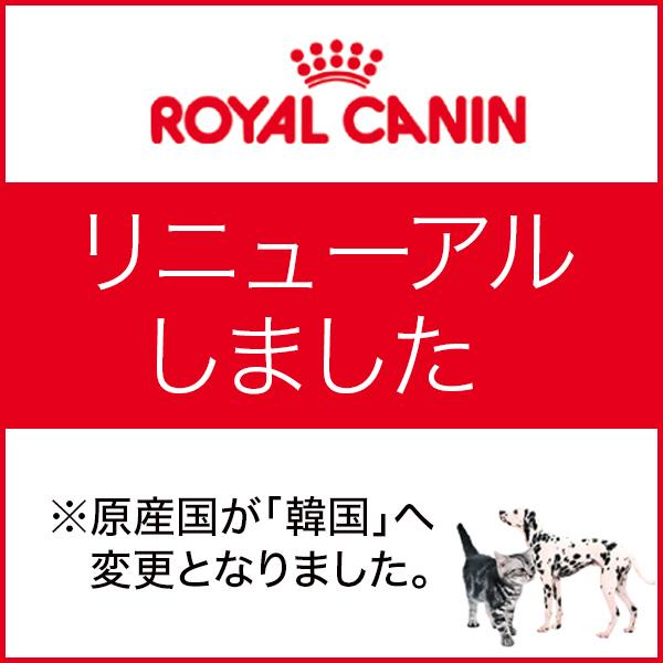新色 アダルト ロイヤルカナン 犬 ドライフード ミニ インドア ※お一人様5個まで 8kg 52901018 SHN ドッグ ドッグフード 新色 アダルト ロイヤルカナン 犬 ドライフード ミニ インドア ※お一人様5個まで 8kg 52901018 SHN ドッグ ドッグフード