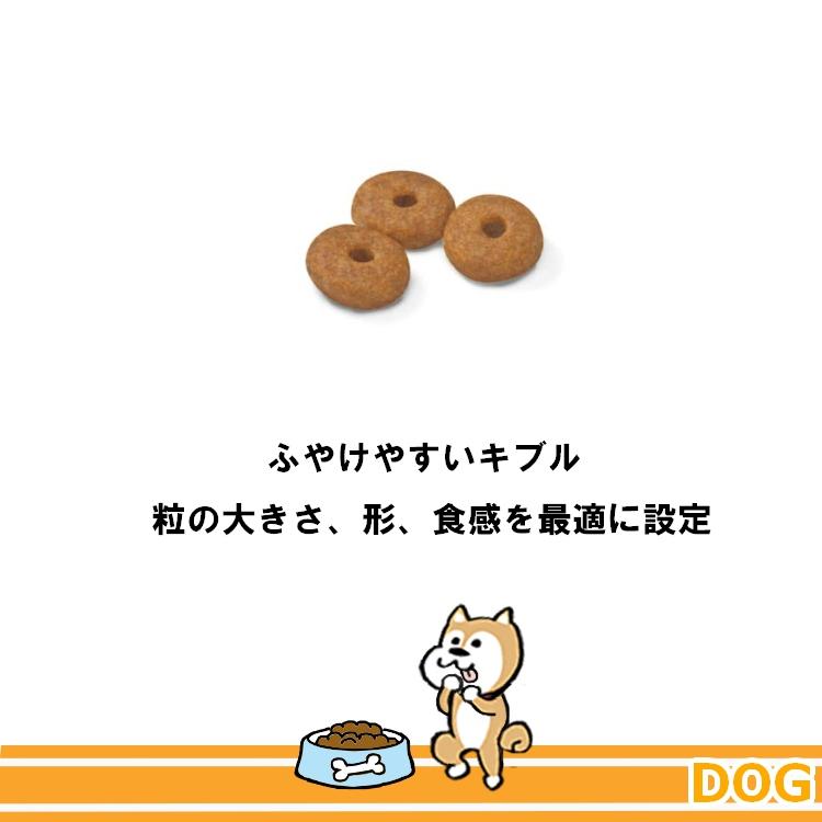 ロイヤルカナン SHN ミニ インドア シニア 2kg (52901022) ※お一人様5個まで [犬 ドッグ ドライフード]｜familypet｜04