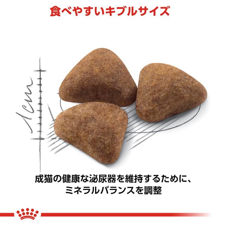 ロイヤルカナン FHN インドア 室内で生活する成猫用 2kg (52905077) ※お一人様5個まで [猫 キャット ドライフード]｜familypet｜04