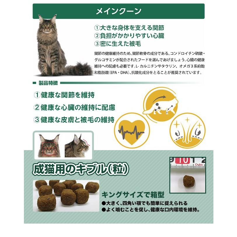 ロイヤルカナン FBN メインクーン 成猫用 2kg (52905095) ※お一 ロイヤルカナン FBN メインクーン 成猫用 2kg (52905095) ※お一