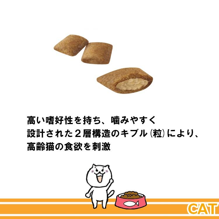 ロイヤルカナン FHN エイジング12+ 高齢猫用 4kg (52905136) ※お ロイヤルカナン FHN エイジング12+ 高齢猫用 4kg (52905136) ※お