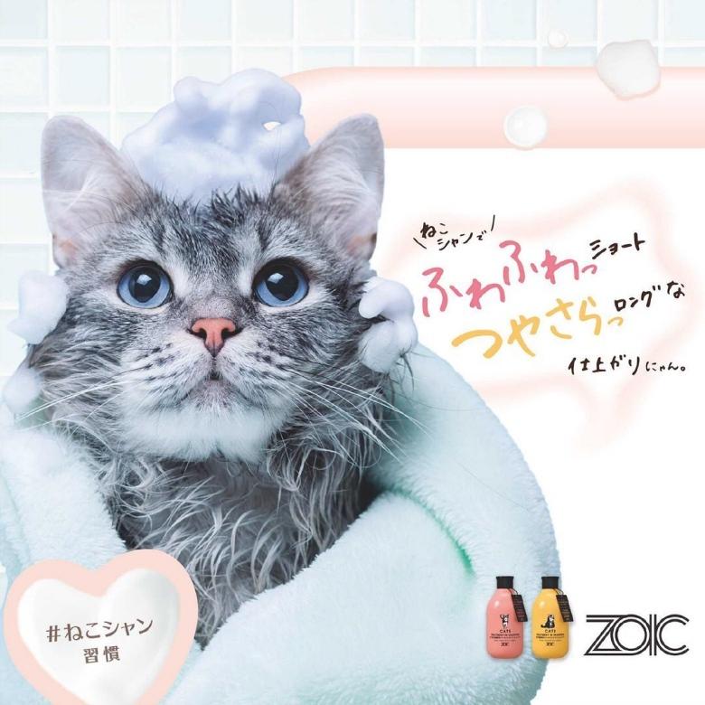 ハートランド ゾイック N キャッツトリートメントインシャンプー ショート 300ml(60000016) :60000016:ペットファミリー アニマルボンズ - 通販 - Yahoo!ショッピング ハートランド ゾイック N キャッツトリートメントインシャンプー ショート 300ml(60000016) :60000016:ペットファミリー アニマルボンズ - 通販 - Yahoo!ショッピング