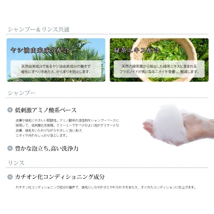 ZOIC（ゾイック） N ホワイトニングリンス 4000ml : キャナルサイド