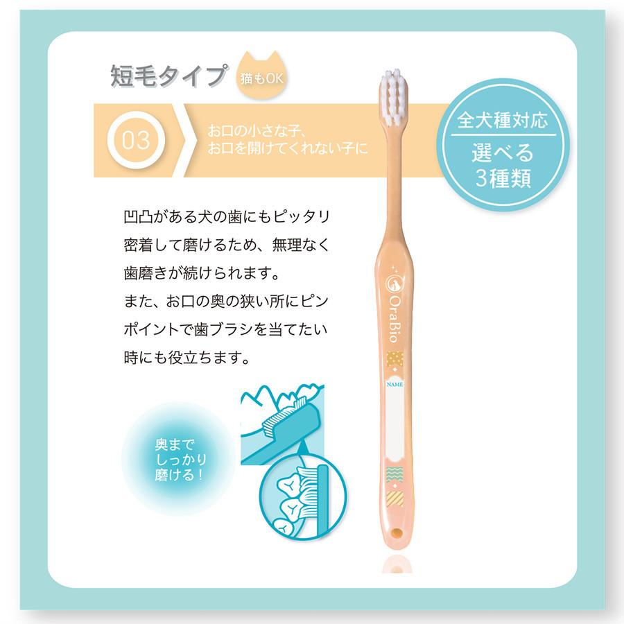 BYRON オーラバイオブラシ 短毛 １本入(60400011) |  | 03