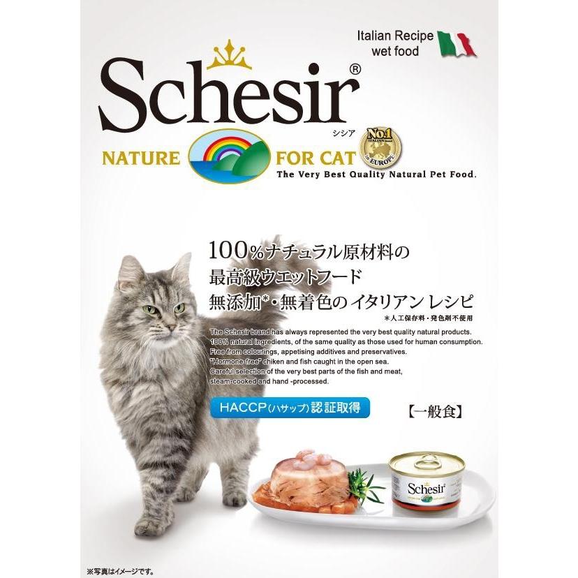 85g×56缶セット♪ シシア・キャット ツナ＆ビーフフィレ＆ライス