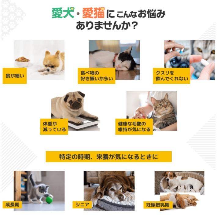 アース 犬用 栄養補給ペースト スタミノール 100g (66107000)｜familypet｜02