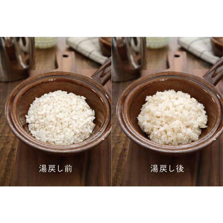 whitefox ホワイトフォックス 玄米ごはんフレーク 100g （68304005） |  | 05