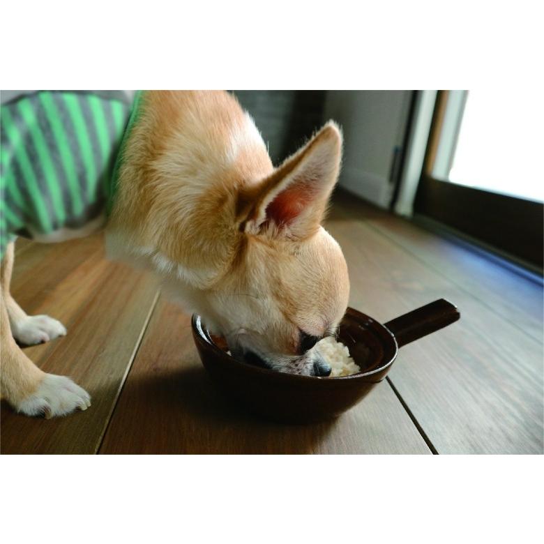 whitefox ホワイトフォックス 玄米ごはんフレーク 100g （68304005） |  | 06