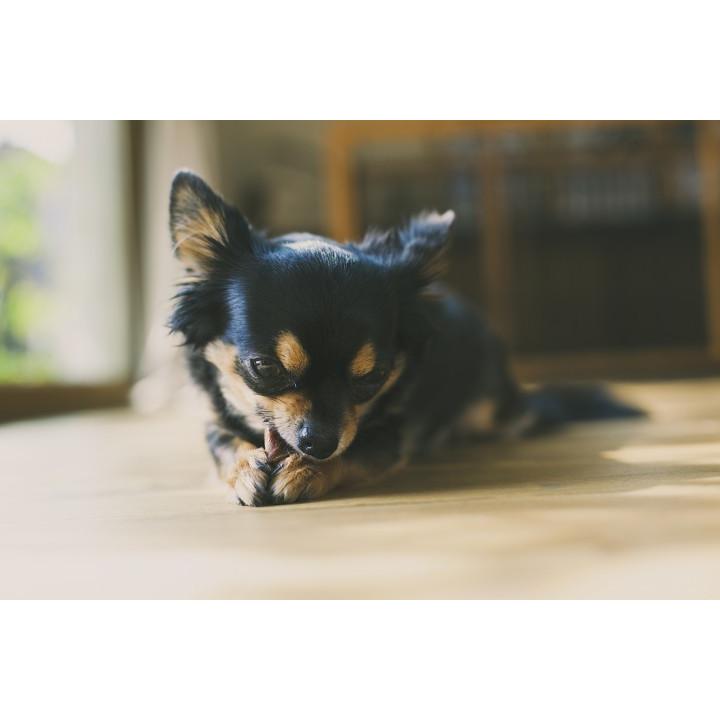 whitefox ホワイトフォックス 鶏肉燻製 50g （68304061） |  | 05