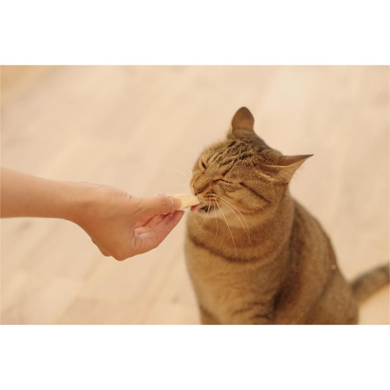 whitefox ホワイトフォックス 【愛猫用】鶏むね肉 フリーズドライ 