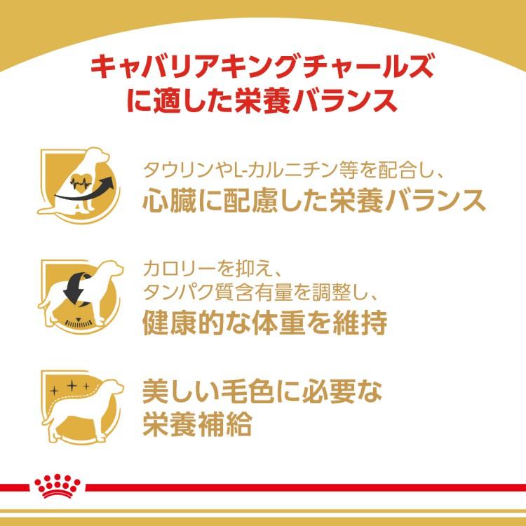 ロイヤルカナン BHN キャバリアキングチャールズ 成犬〜高齢犬用 3kg×4 (s5290053) ※お一人様1個まで [犬 ドッグ ドライフード]_2