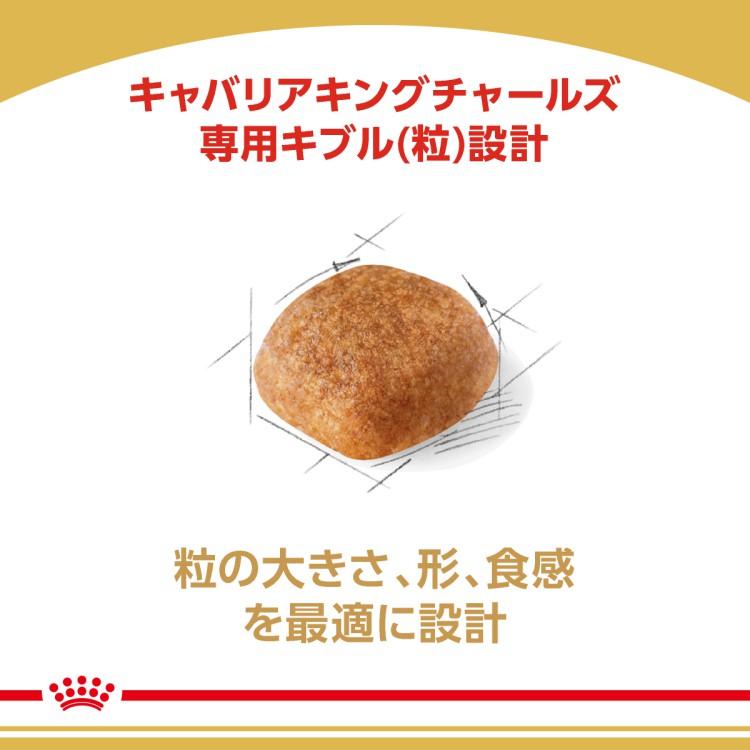 ロイヤルカナン BHN キャバリアキングチャールズ 成犬〜高齢犬用 3kg×4 (s5290053) ※お一人様1個まで [犬 ドッグ ドライフード]_3